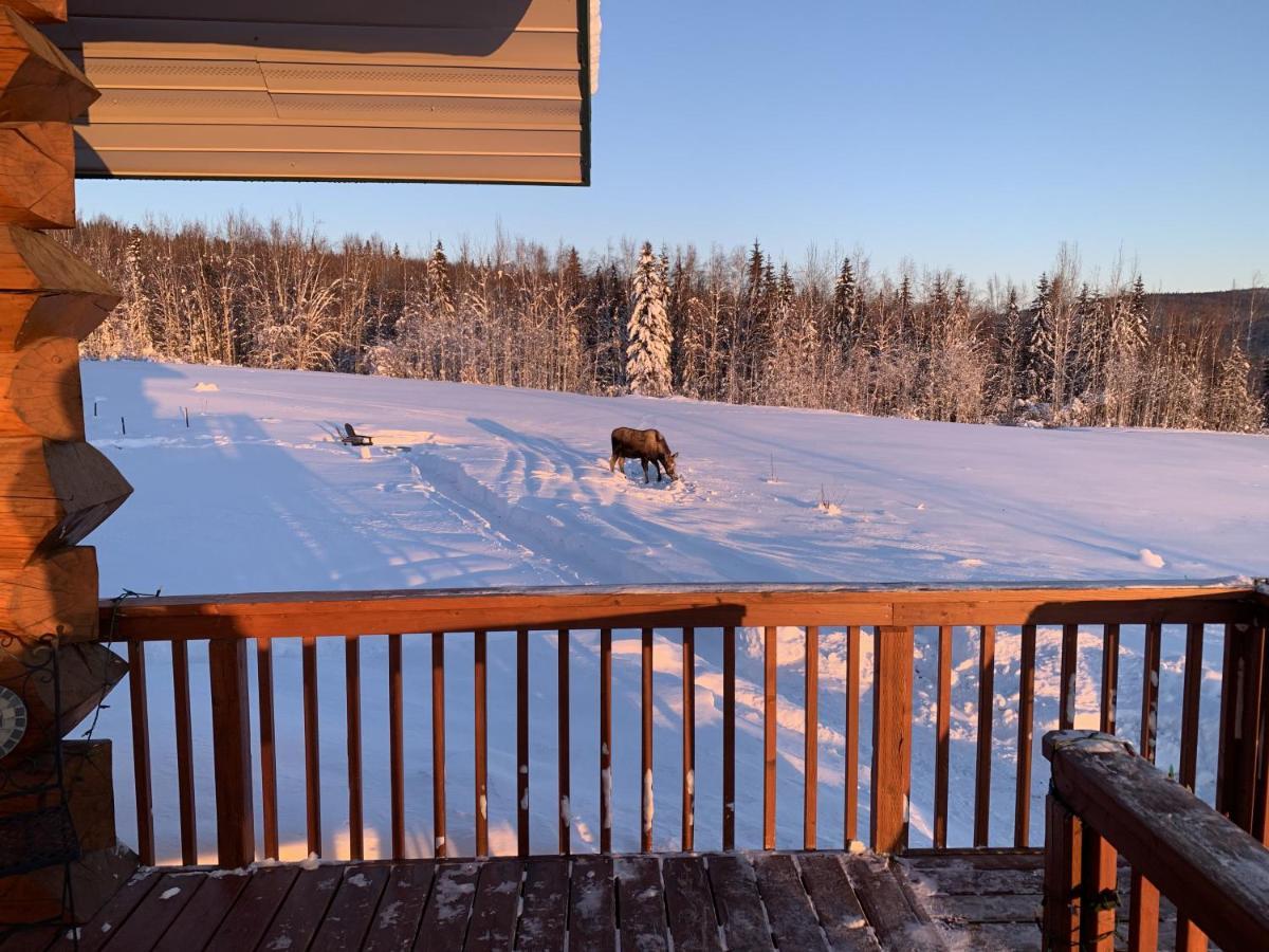 Secluded Log Cabin, 30 Min From Chena Hot Springs Pleasant Valley Bagian luar foto