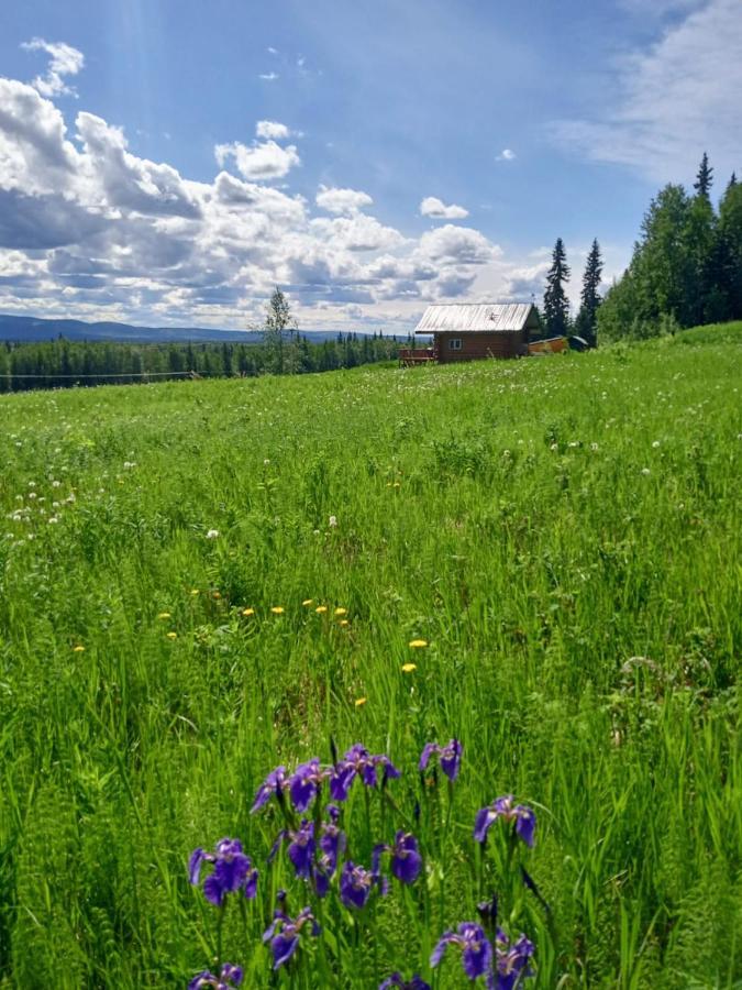 Secluded Log Cabin, 30 Min From Chena Hot Springs Pleasant Valley Bagian luar foto