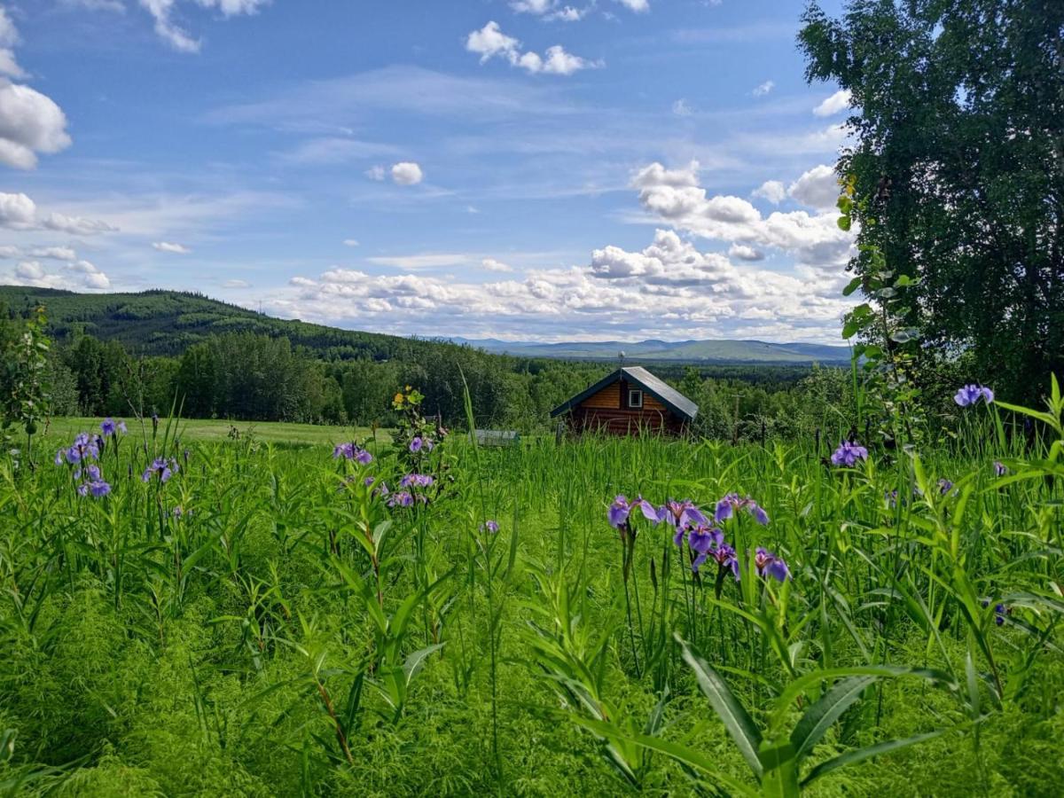 Secluded Log Cabin, 30 Min From Chena Hot Springs Pleasant Valley Bagian luar foto